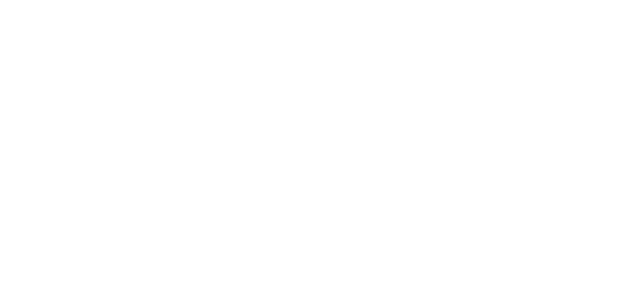 روکس پے logo